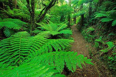 《守望先锋 归来》今日上线 动画短片“零点危机”公布