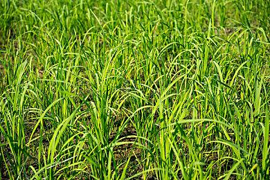 丈量神秘墨西哥！《极限竞速：地平线5》现已开启STEAM预购