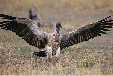 《我的世界》x《降世神通传奇》联动DLC 现已上线